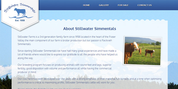 Stillwater Simmentals